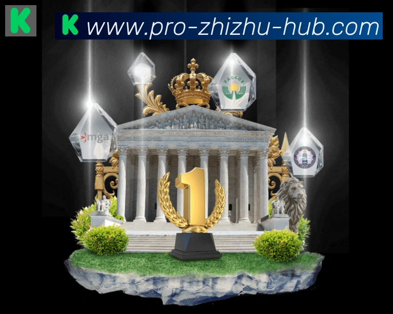 未来规划